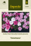 Feder-Nelke 'Sweetness'