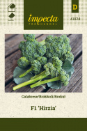 Brokkoli F1 'Hirzia'