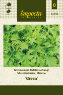 Mizuna F1 'Green'