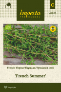 Französischer Thymian 'French Summer'