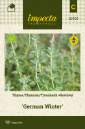 Thymian 'German Winter'