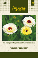 Ringelblume 'Snow Princess'
