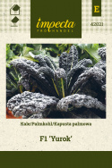 Palmkohl F1 'Yurok'