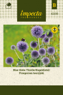 Kugeldistel