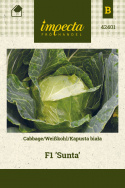 Weißkohl F1 'Sunta'