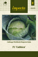 Weißkohl F1 'Cabbice'