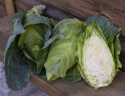 Spitzkohl F1 'Caraflex'