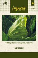 Spitzkohl 'Express'
