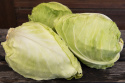 Spitzkohl 'Express'