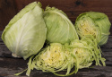 Spitzkohl 'Express'