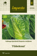 Spitzkohl 'Filderkraut'