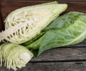 Spitzkohl 'Filderkraut'
