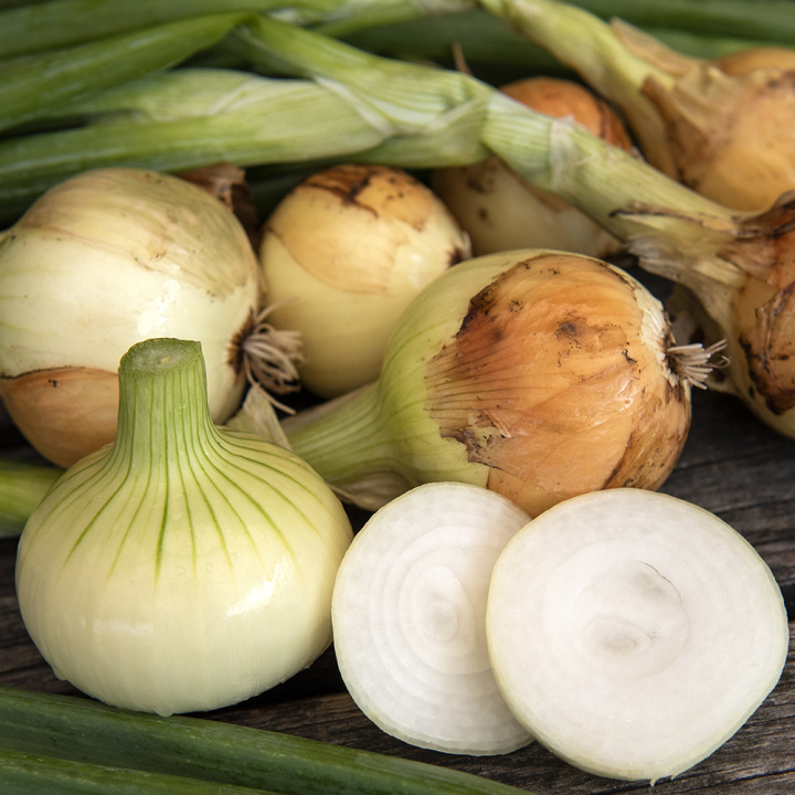Gemüsezwiebel 'Yellow Sweet Spanish'