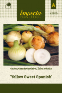 Gemüsezwiebel 'Yellow Sweet Spanish'