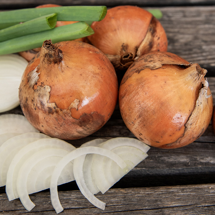 Gemüsezwiebel F1 'Euresco'