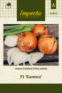 Gemüsezwiebel F1 'Euresco'