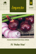 Rote Zwiebel F1 'Ruby Star'