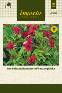Indianernessel 'Temynta'