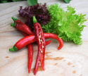 Peperoni  'De Cayenne'