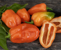 Chili 'Habanero Orange'