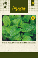 Zitronenmelisse