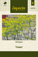 Dill 'Como'