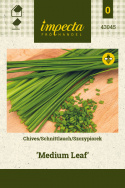 Schnittlauch 'Medium Leaf'