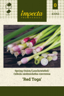 Lauchzwiebel 'Red Toga'