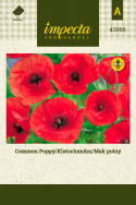 Klatschmohn
