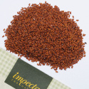Gartenkresse