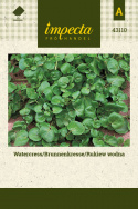 Echte Brunnenkresse