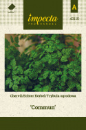 Echter Kerbel 'Commun'