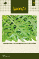 Wilde Rauke