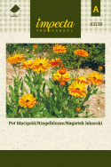 Ringelblume