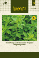 Griechischer Oregano