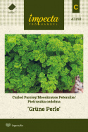 Krause Petersilie 'Grüne Perle'