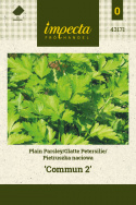 Glatte Petersilie 'Commun 2'