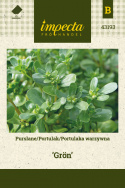 Portulak 'Grön'