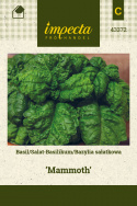 Salatbasilikum 'Mammoth'