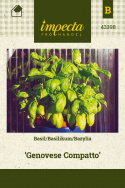 Basilikum 'Genovese Compatto'
