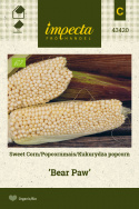 Popcornmais 'Bear Paw'