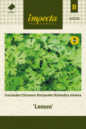 Koriander 'Zitrone'