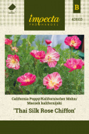 Kalifornischer Mohn 'Thai Silk Rose Chiffon'