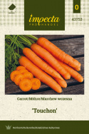 Möhre 'Touchon'