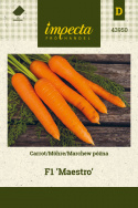 Möhre 'Maestro'