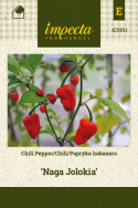 Chili 'Naga Jolokia'