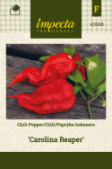 Chili 'Carolina Reaper'