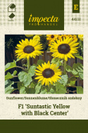 Sonnenblume 'Suntastic Yellow with Black Center'