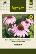 Roter Sonnenhut 'Magnus'