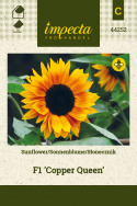 Sonnenblume F1 'Copper Queen'